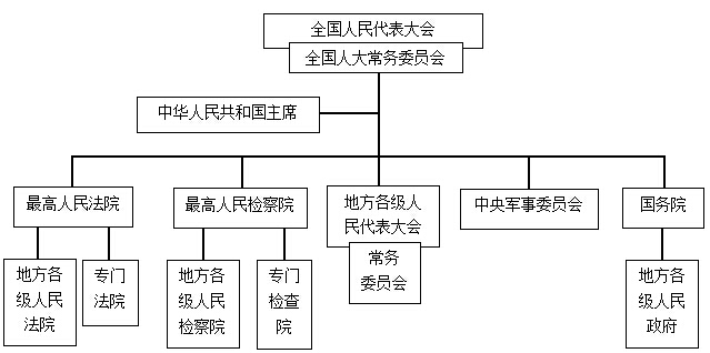我國的國家機構(gòu)